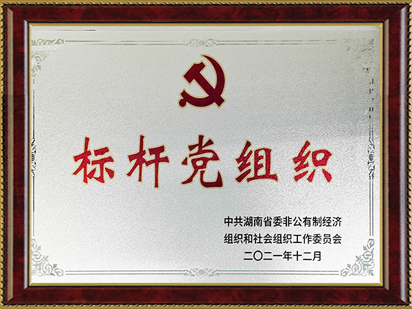 ʱ-ǲ!